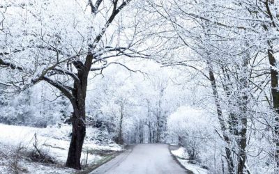 Respira Comerç: Descobreix el Teixit Comercial del Ripollès amb el Segon Número de Desembre