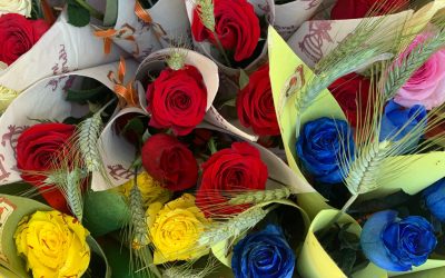 Ripoll Comerç celebra l’èxit de Sant Jordi juntament amb els establiments participants