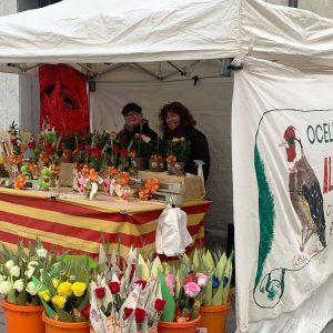 Parada Alarcón de la fira de Sant Jordi en la que venen tota mena de roses