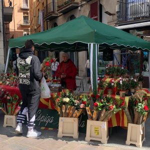 Parada d'Espiga verda per vendre roses el Sant Jordi de 2024